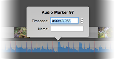 audio-marker-popover.png